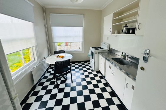 Apartment 1C kitchen