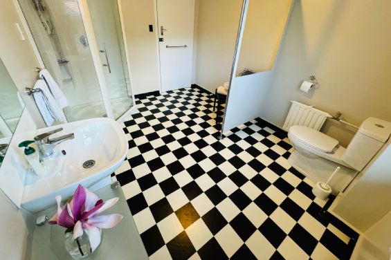 Apartment 1C bathroom